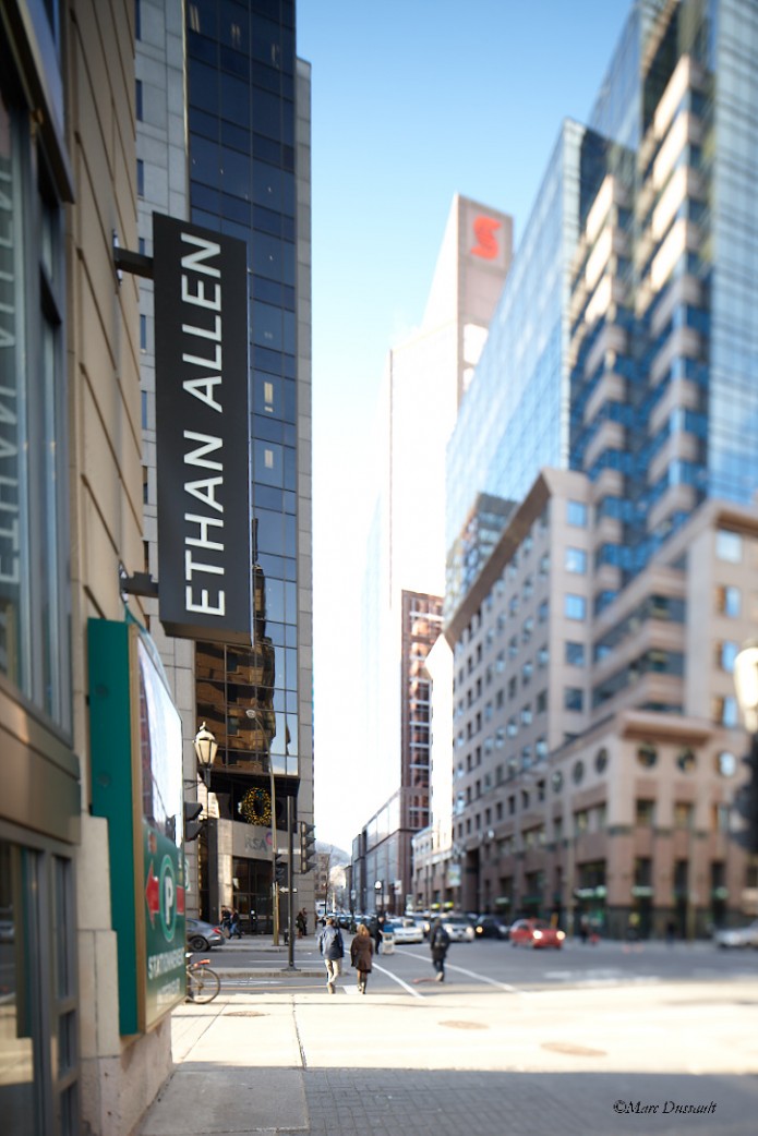 Ethan-Allen-Montréal-Damask-et-dentelle