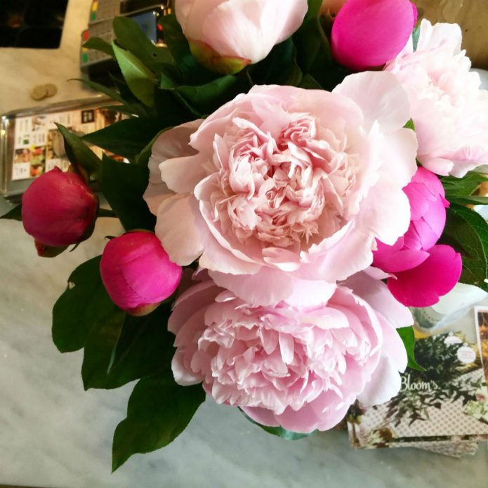 peonies