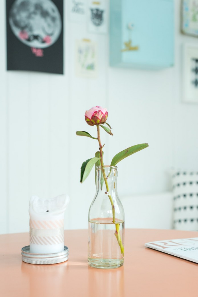 lovely peony lovely peony