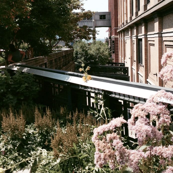 the high line nyc