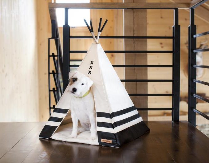 wild & loyal, chiens, etsy, etsy montréal, tipies