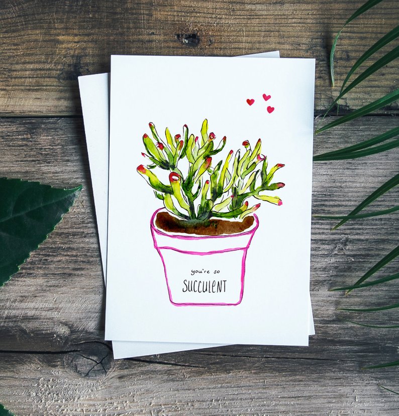 Atelier Perluette, succulentes, illustrations, montréal, esty, québec